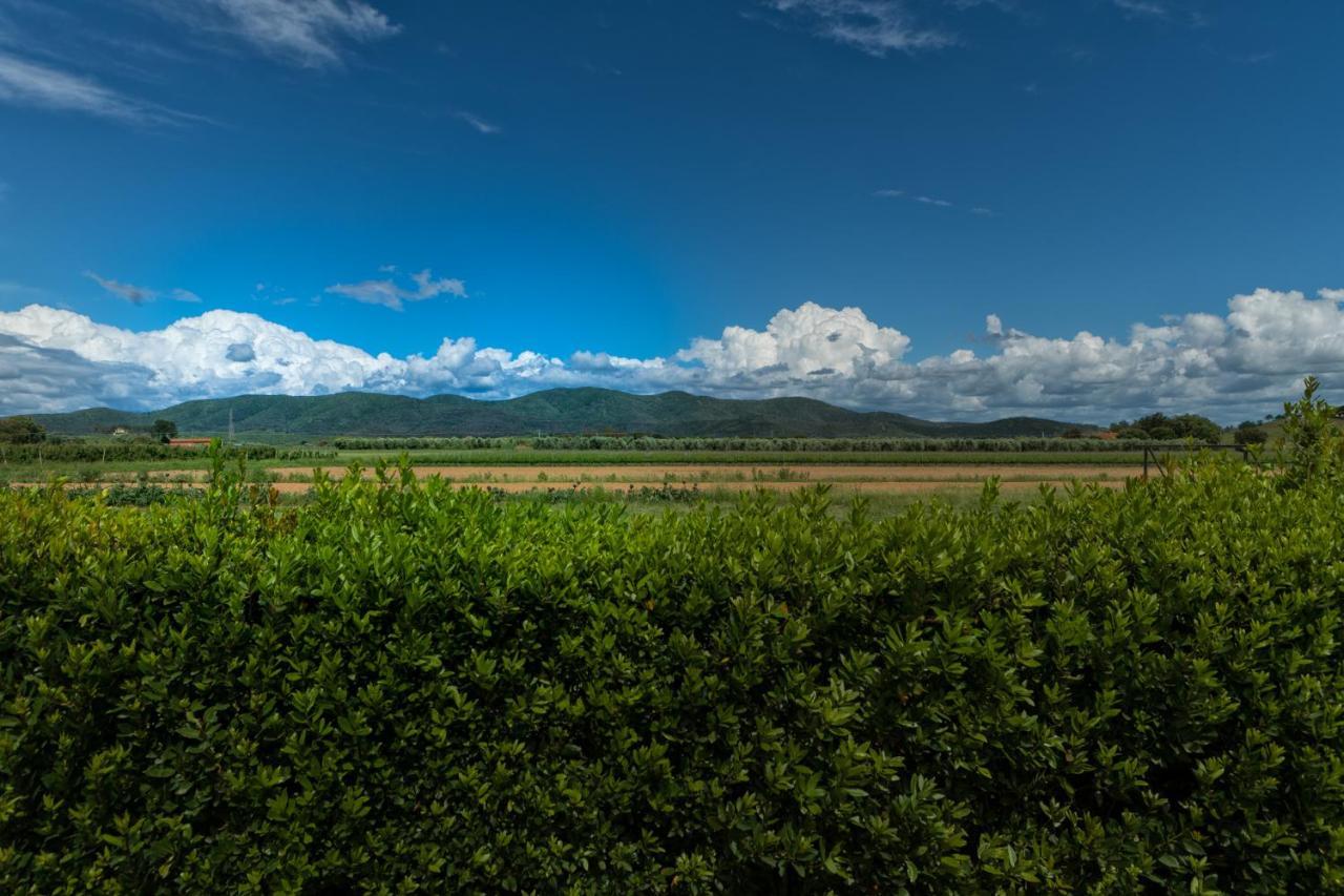 Agriturismo Lucerna Del Lago Prile Castiglione della Pescaia Eksteriør bilde