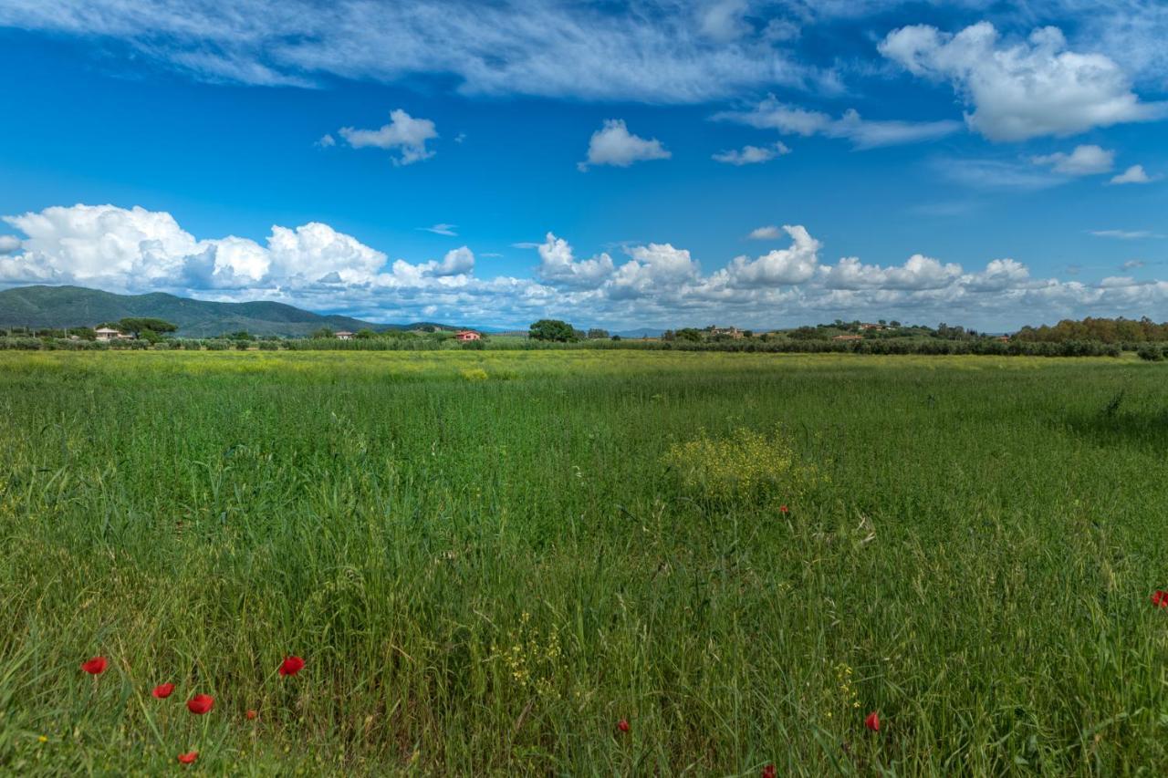 Agriturismo Lucerna Del Lago Prile Castiglione della Pescaia Eksteriør bilde